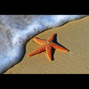 Meet your Posher, Stacey